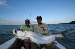 Huge Tarpon by Tor Ola